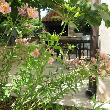 Petrinic V Lägenhet