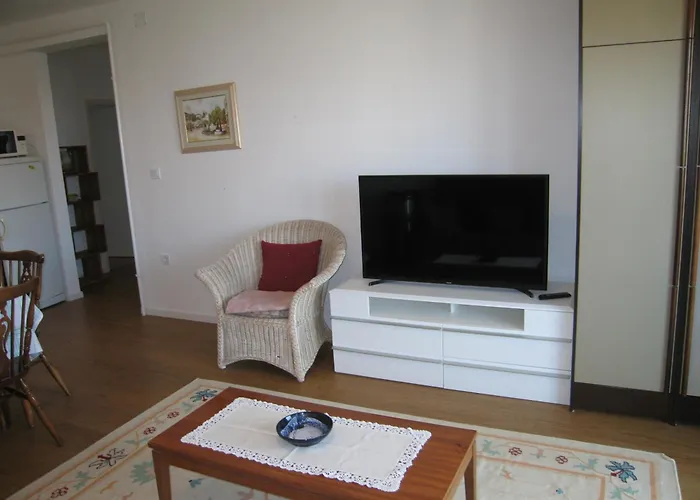 Apartman Petrinic V *