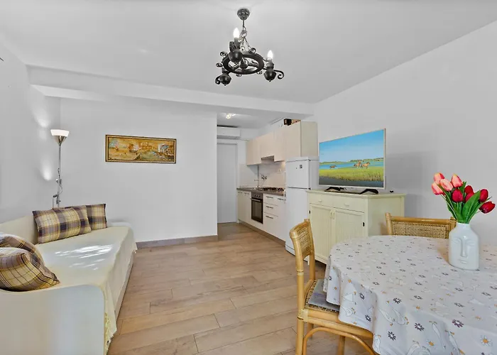 Apartman Petrinic V *