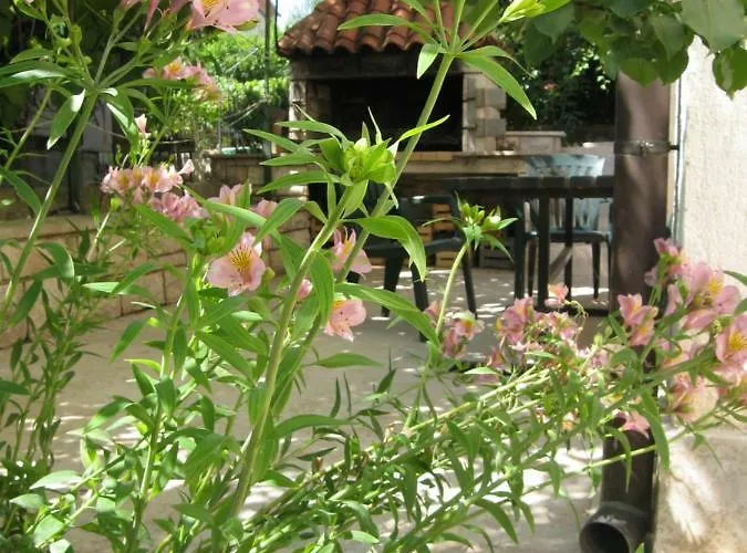 Petrinic V 아파트