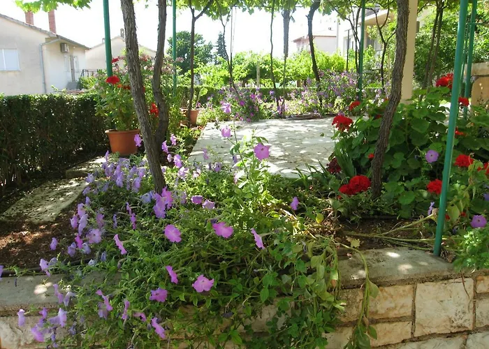 Apartman Petrinic V Pula