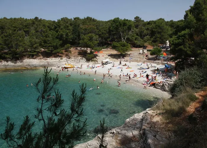 Petrinic V Apartman Pula